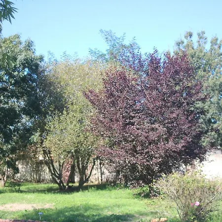 L Entredeux شقة Saint-Viaud