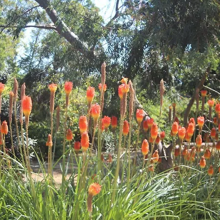L Entredeux شقة Saint-Viaud