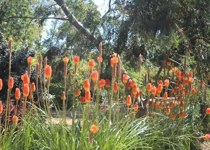 L Entredeux Apartment Saint-Viaud